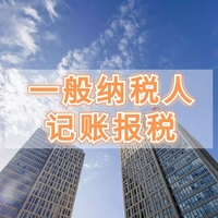 一般纳税人记账报税（一年）