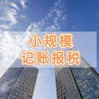 小规模记账报税（半年）